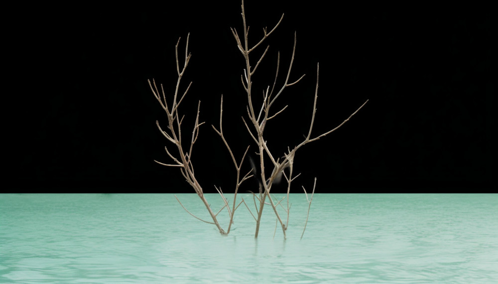 Wild Swimming: Exploring Nature's Best Pools